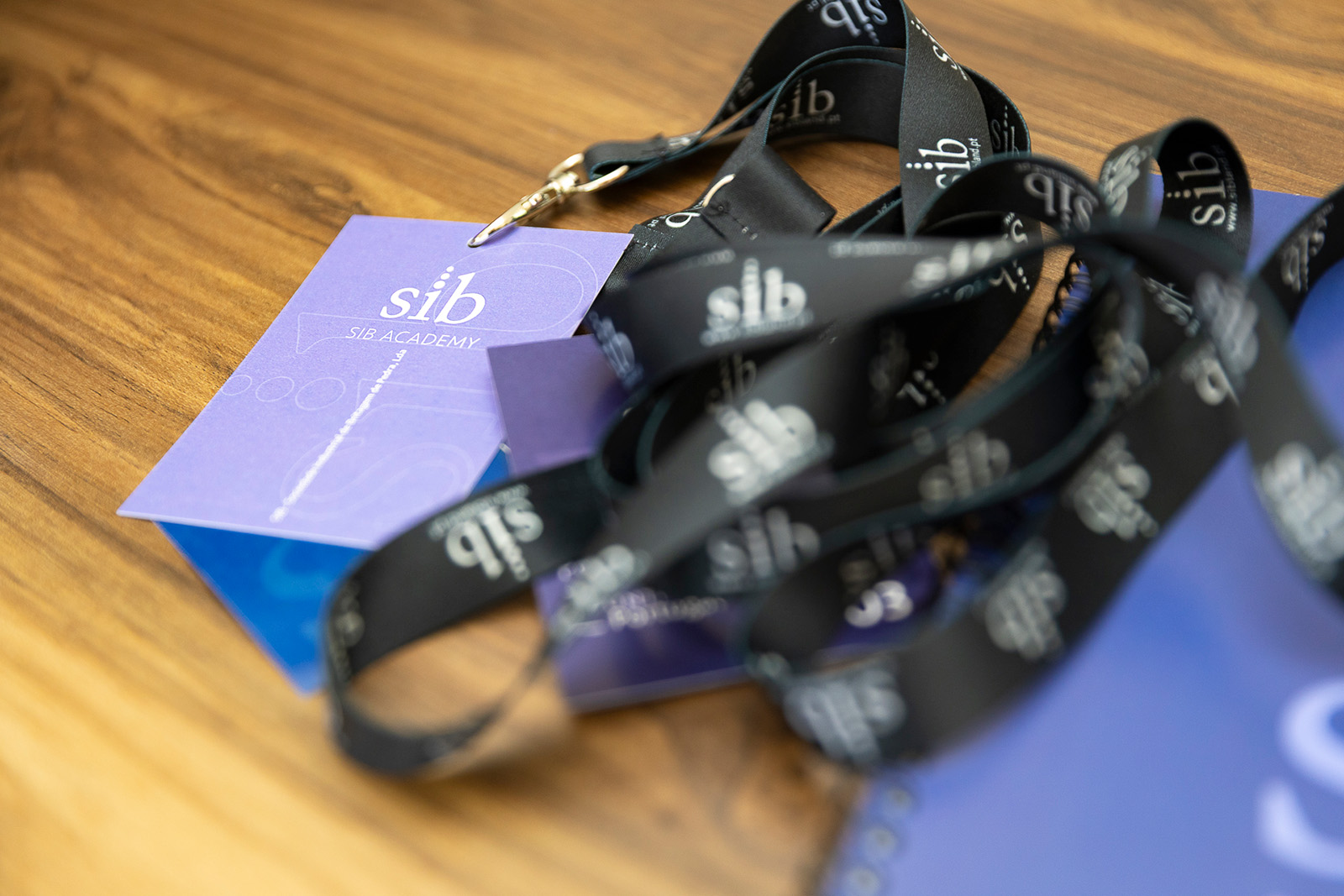 SiB Academy